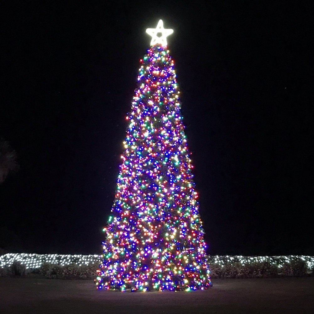 Christmas on Amelia Island